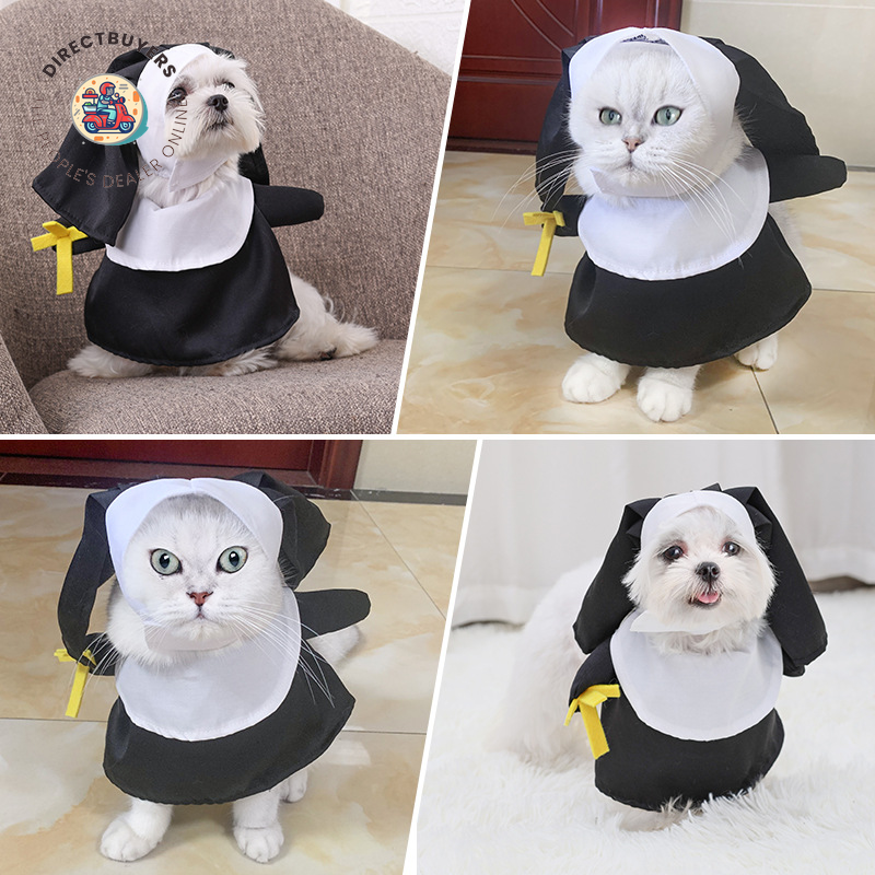 Dog & Cat Costumes: Halloween and Beyond!