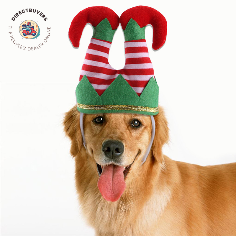 Christmas Apparel for Dogs and Cats