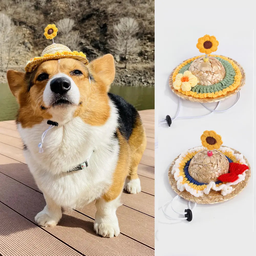 Pet Cute Hat Headwear Decorative Puppy Pet Supplies Directbuyers