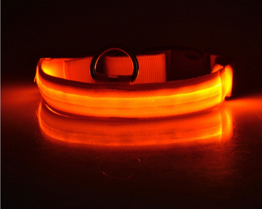 Nylon LED Pet Dog Luminous Collar Night Safety Flashing Glow in Dark Dog Cat Leash Adjustable Pet Supplies Directbuyers