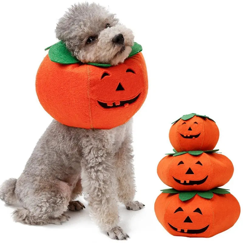 Pet Halloween Pumpkin Collars Cute Pet Cosplay Accessories Directbuyers