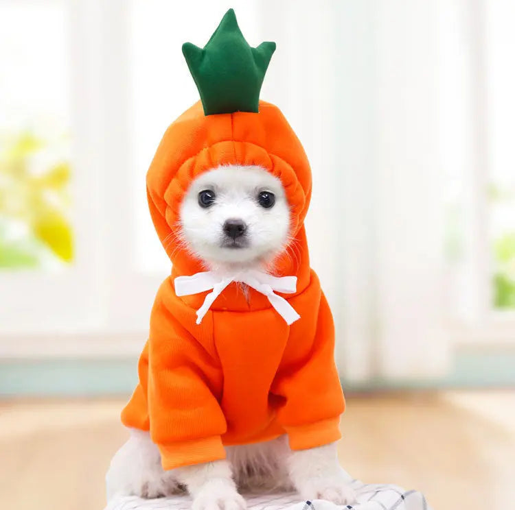 Cute Fruit Dog Clothes - Winter Fleece Hoodies for Small Dogs & Puppies Directbuyers