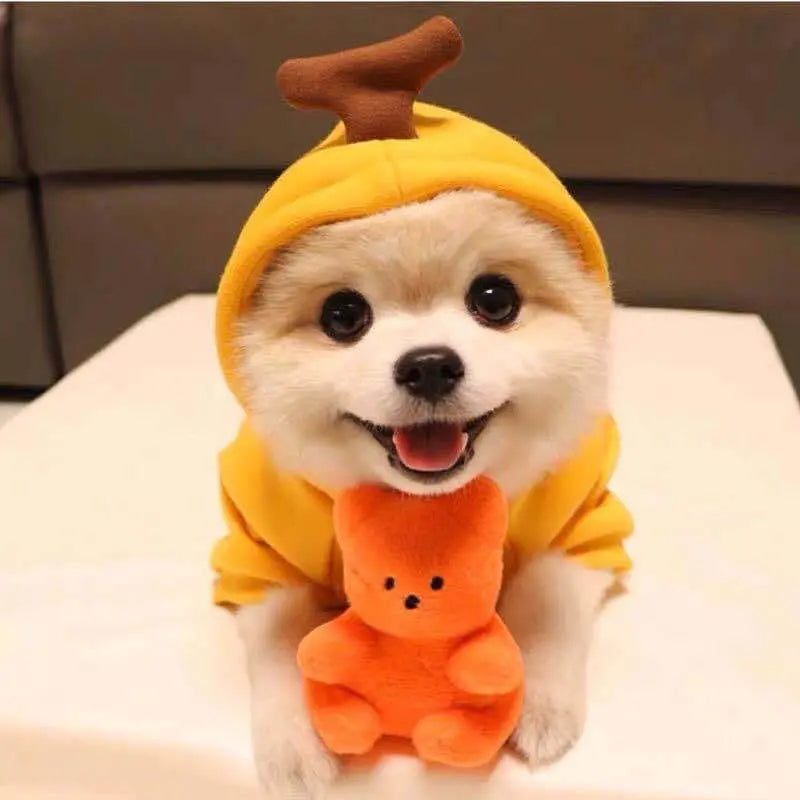 Cute Fruit Dog Clothes - Winter Fleece Hoodies for Small Dogs & Puppies Directbuyers