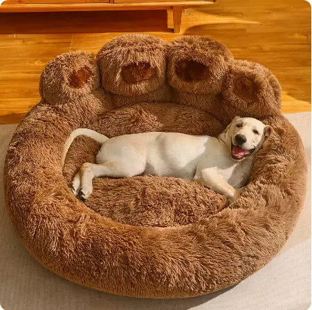 Cozy Pet Bed Selection with Size and Color Options! Directbuyers