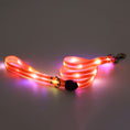 Load image into Gallery viewer, LED Luminous Collar Rechargeable Pet Collar Nylon Tow Rope Directbuyers
