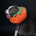 Carica l'immagine nel visualizzatore della galleria, Pet Halloween Pumpkin Collars Cute Pet Cosplay Accessories Directbuyers
