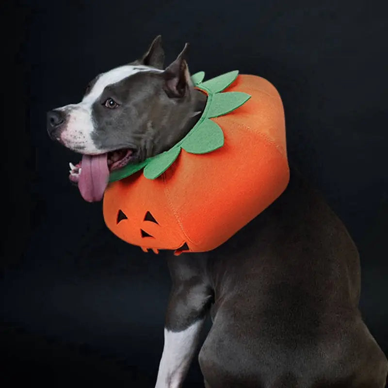 Pet Halloween Pumpkin Collars Cute Pet Cosplay Accessories Directbuyers