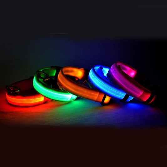 Nylon LED Pet Dog Luminous Collar Night Safety Flashing Glow in Dark Dog Cat Leash Adjustable Pet Supplies Directbuyers