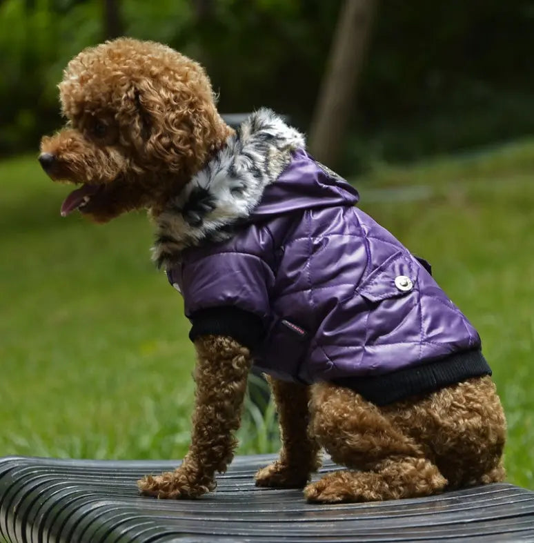 Cross-Border Pet Supplies - Autumn/Winter Dog Clothes with Fur Collar Coat Directbuyers