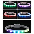 Carica l'immagine nel visualizzatore della galleria, LED Pet Collar Pendant - Glowing Safety Collar for Dogs & Cats in Multiple Color - Directbuyers
