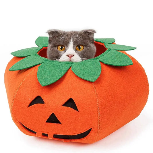 Pet Halloween Pumpkin Collars Cute Pet Cosplay Accessories Directbuyers