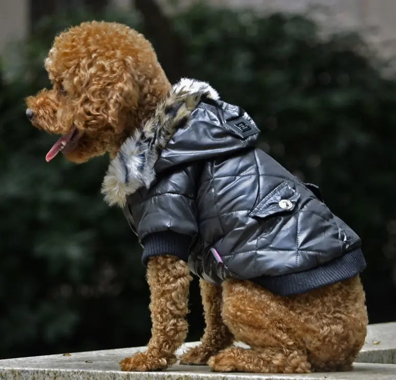 Cross-Border Pet Supplies - Autumn/Winter Dog Clothes with Fur Collar Coat Directbuyers