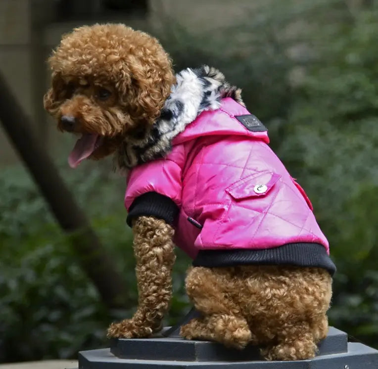 Cross-Border Pet Supplies - Autumn/Winter Dog Clothes with Fur Collar Coat Directbuyers