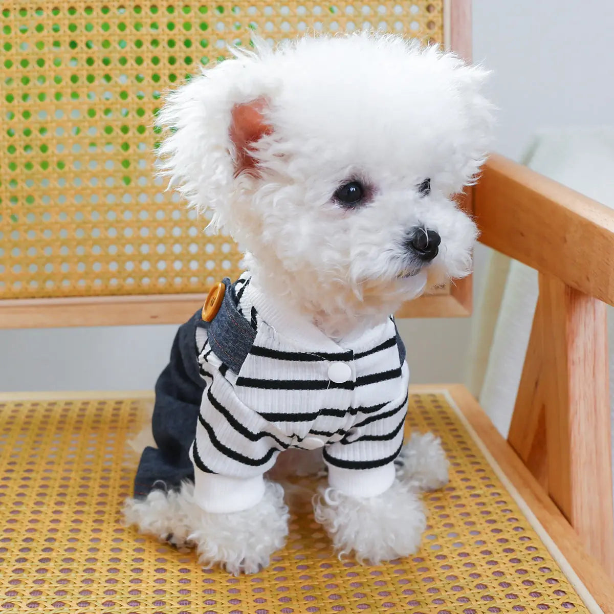 Pet Clothes Clothing Suspender Pants Traction Directbuyers