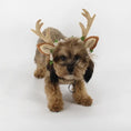 Carica l'immagine nel visualizzatore della galleria, Christmas Pet Hat! Directbuyers
