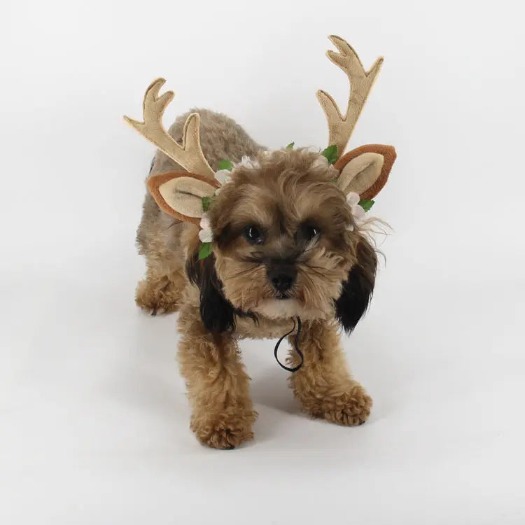 Christmas Pet Hat! Directbuyers