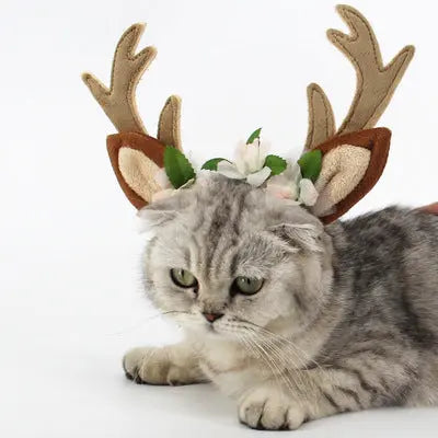 Christmas Pet Hat! Directbuyers