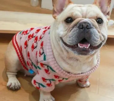 Santa Dog Sweater Directbuyers