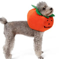 Carica l'immagine nel visualizzatore della galleria, Pet Halloween Pumpkin Collars Cute Pet Cosplay Accessories Directbuyers
