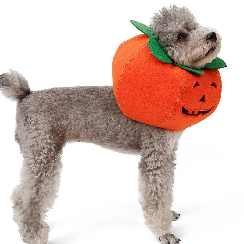 Pet Halloween Pumpkin Collars Cute Pet Cosplay Accessories Directbuyers