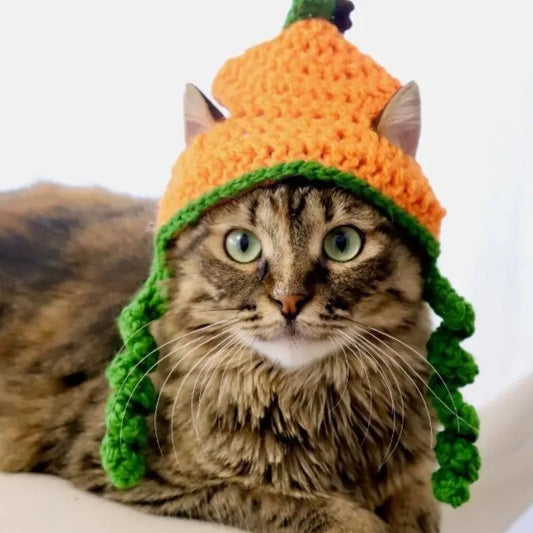 Halloween Cat Dog Knitted Pet Hat Directbuyers