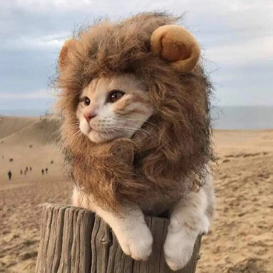 Cat Lion Headgear: Unleash the Wild Side of Your Feline! - Directbuyers