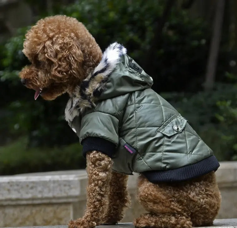 Cross-Border Pet Supplies - Autumn/Winter Dog Clothes with Fur Collar Coat Directbuyers