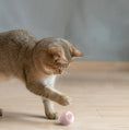 Carica l'immagine nel visualizzatore della galleria, Automatic Moving Bouncing Rolling Ball Smart Cat Toy Ball Directbuyers
