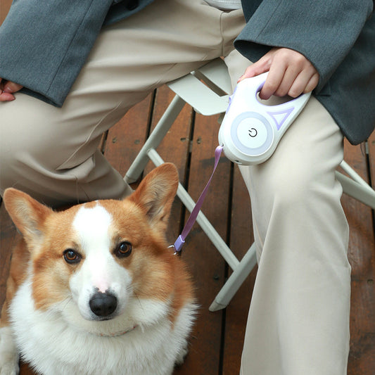 Retractable Dog Leash & Collar - Automatic Traction Rope for Small to Medium Dogs. Directbuyers