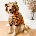 Carica l'immagine nel visualizzatore della galleria, Pet Dog Golden Retriever Clothes Tiger Pet Costume Directbuyers
