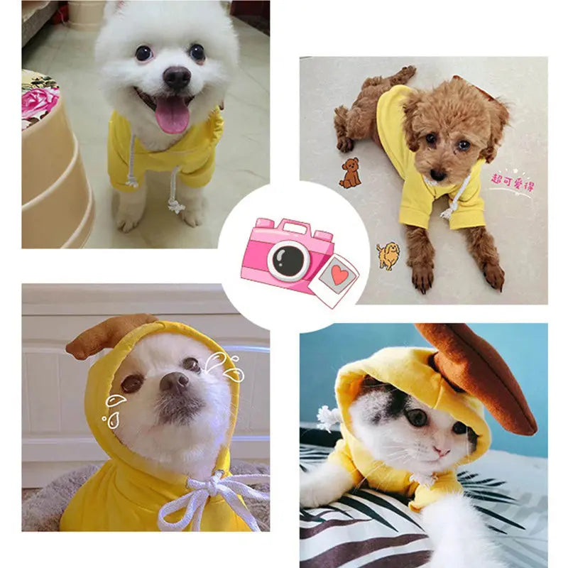 Cute Fruit Dog Clothes - Winter Fleece Hoodies for Small Dogs & Puppies Directbuyers