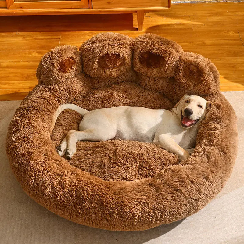 Cozy Pet Bed Selection with Size and Color Options! Directbuyers