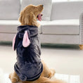 Carica l'immagine nel visualizzatore della galleria, Pet Dog Golden Retriever Clothes Tiger Pet Costume Directbuyers
