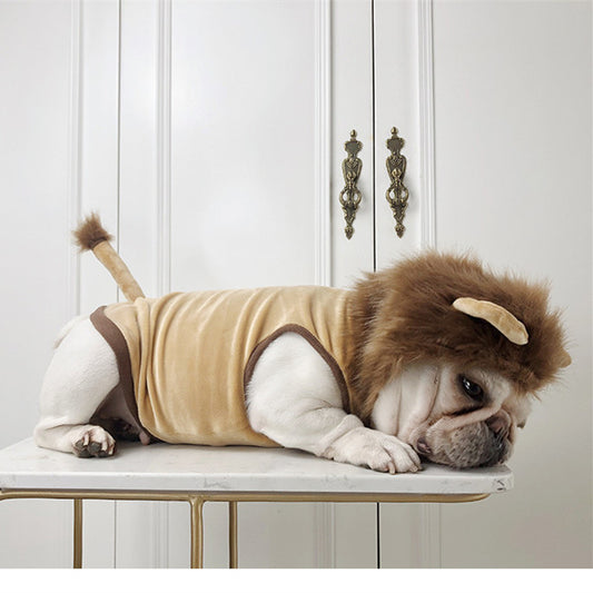 Dog Lion Clothes Pet Supplies Halloween Cat Clothes Directbuyers