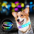 Carica l'immagine nel visualizzatore della galleria, USB Rechargeable LED Dog Collar - Glowing Safety Necklace for Night Walking Directbuyers
