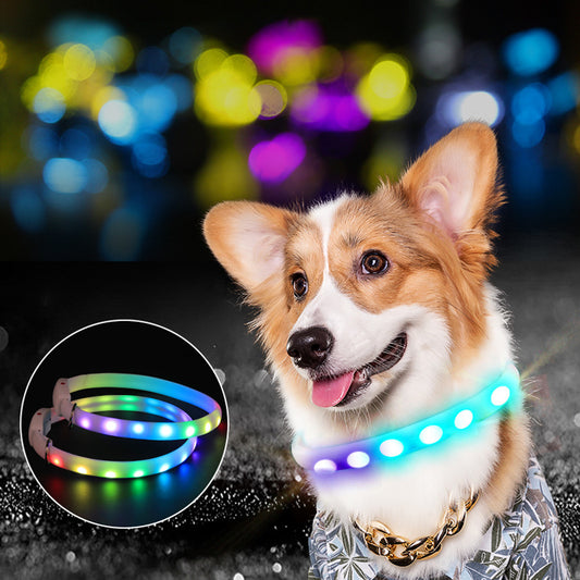 USB Rechargeable LED Dog Collar - Glowing Safety Necklace for Night Walking Directbuyers