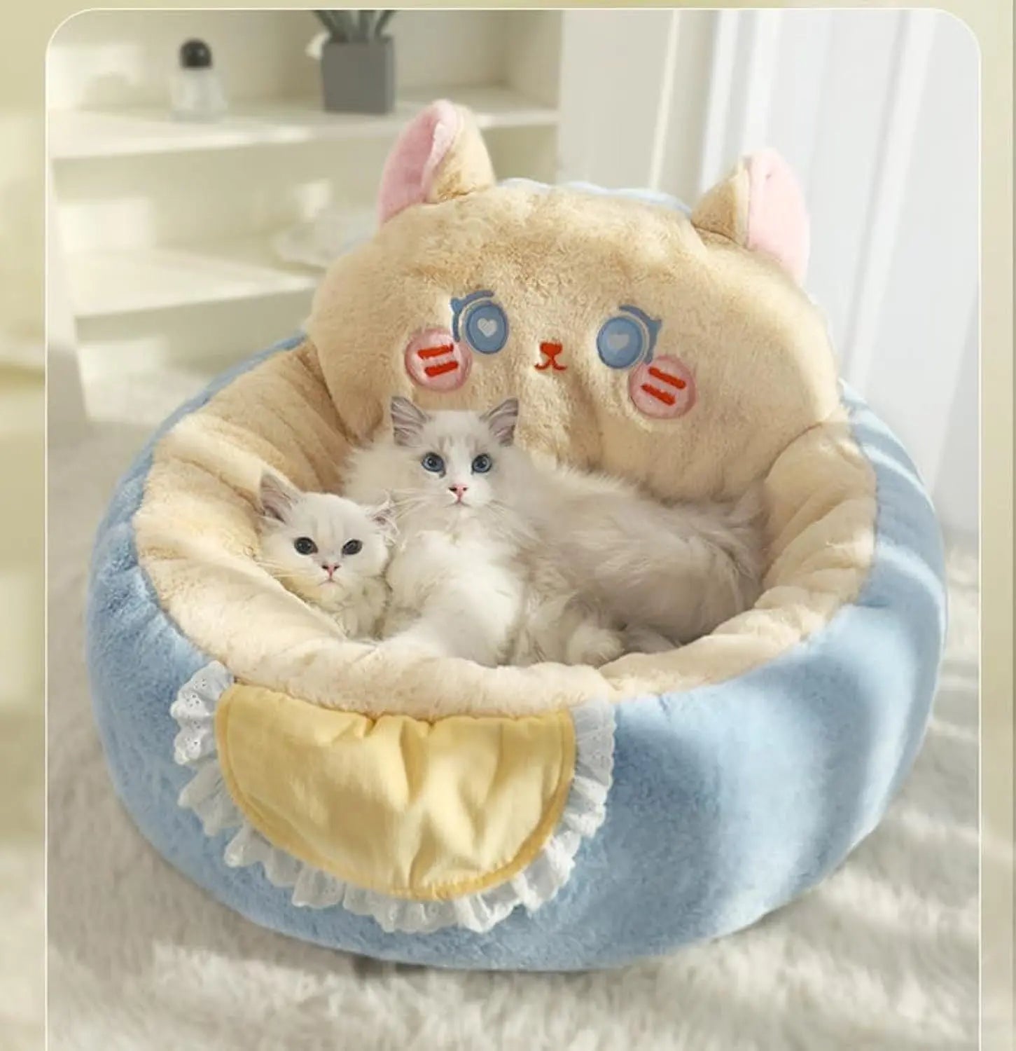 Cozy cat & dog beds! Directbuyers