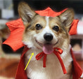 Carica l'immagine nel visualizzatore della galleria, Halloween Pet Costumepet Halloween Cape Vampire King Directbuyers
