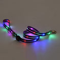 Load image into Gallery viewer, LED Luminous Collar Rechargeable Pet Collar Nylon Tow Rope Directbuyers
