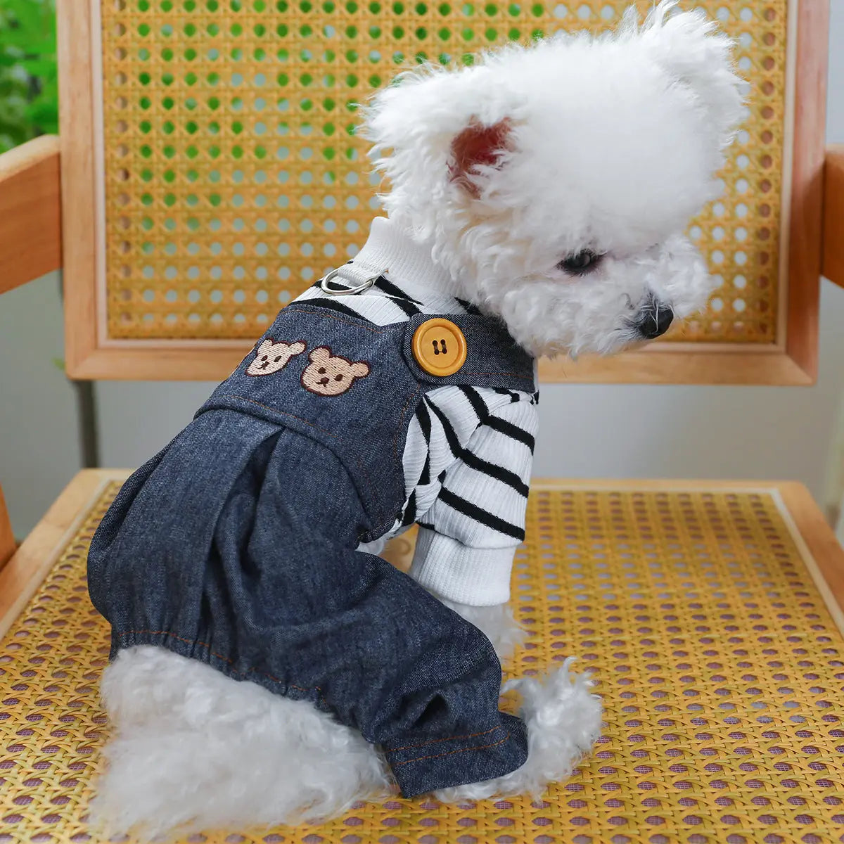 Pet Clothes Clothing Suspender Pants Traction Directbuyers