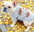 Carica l'immagine nel visualizzatore della galleria, Santa Dog Sweater Directbuyers
