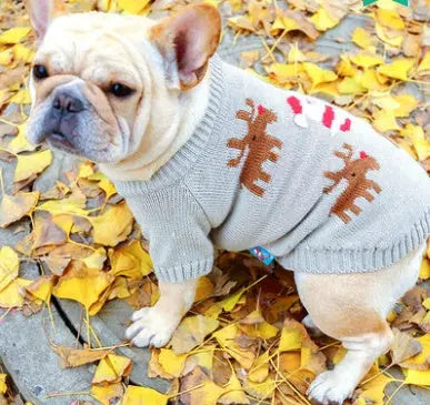 Santa Dog Sweater Directbuyers