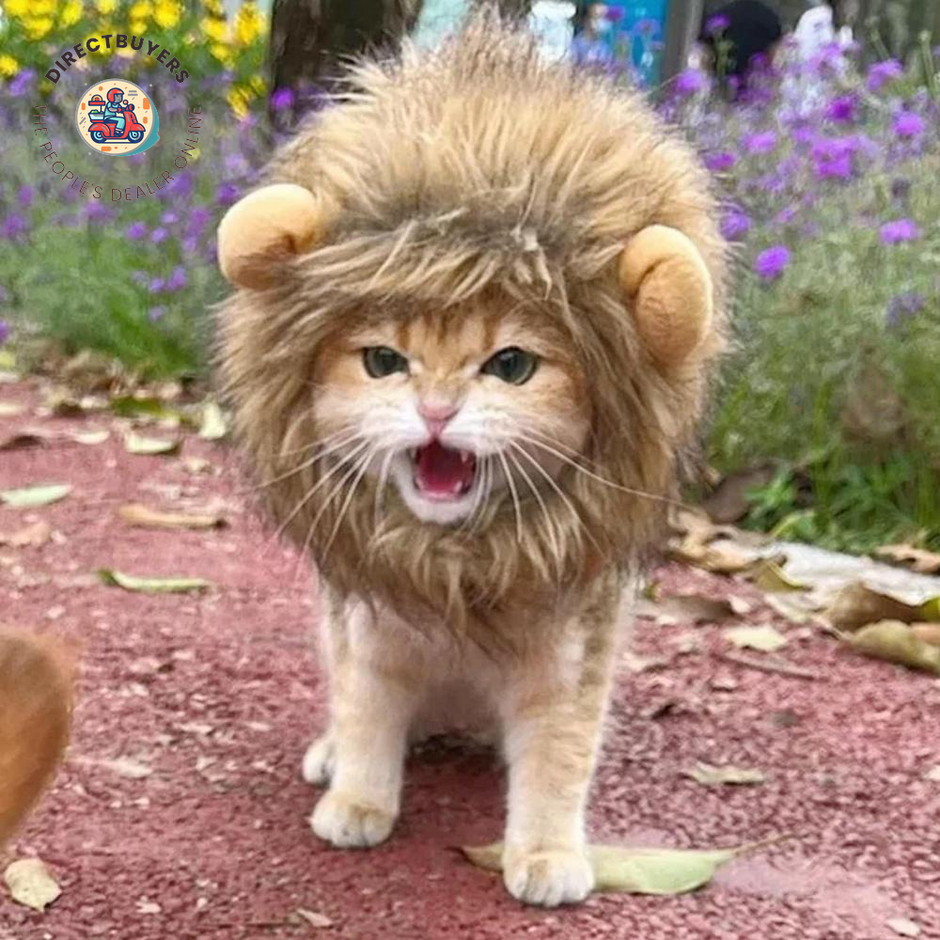 Pet Cat Decor Accessories Lion Wig Fancy Hair Caps Pet Supplies Cute Lion Headgear Cat Hat Mane Wig for Dogs and Cat Small Dog