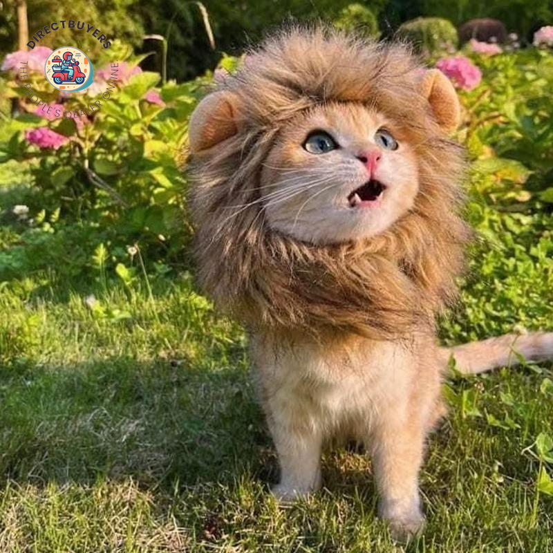 Pet Cat Decor Accessories Lion Wig Fancy Hair Caps Pet Supplies Cute Lion Headgear Cat Hat Mane Wig for Dogs and Cat Small Dog